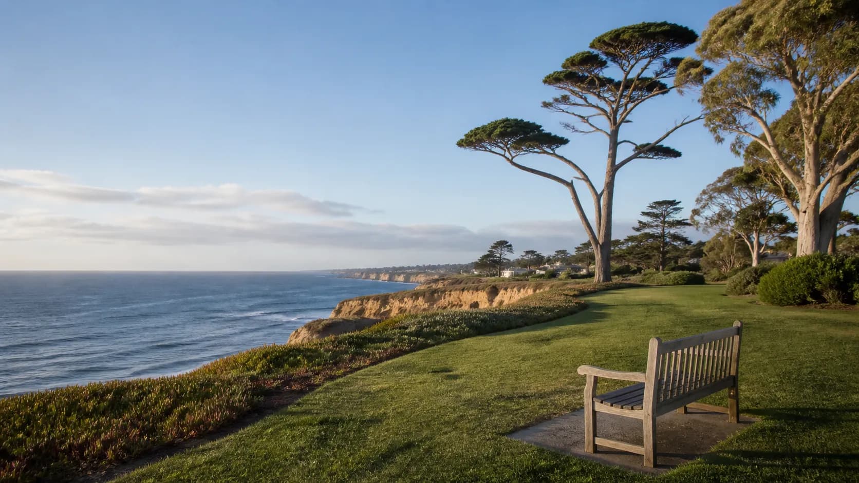 Illustrative bluff-top park and Pacific Ocean view inspired by Del Mar's coastal park setting.